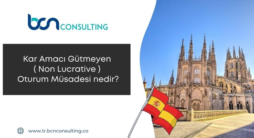Kar Amacı Gütmeyen (Non Lucrative) Oturum Müsadesi nedir?